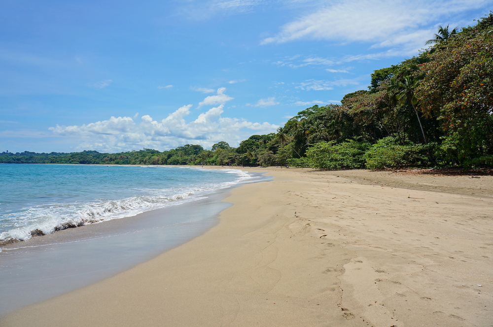 Der Strand Playa Cocles bei Puerto Viejo an der Karibikküste Costa Ricas