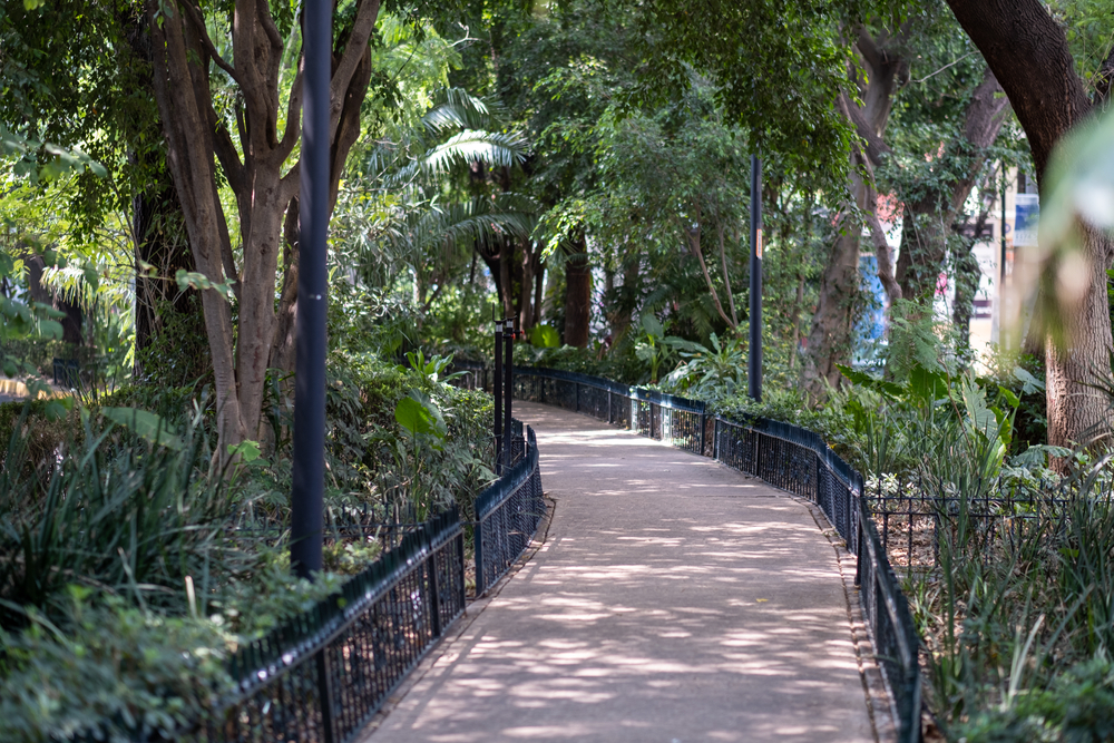 Der grüne Mittelstreifen der Avenida Ámsterdam in Condesa in Mexiko-Stadt