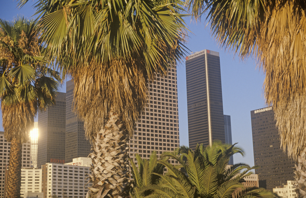 Die Skyline von Downtown Los Angeles hinter Palmen