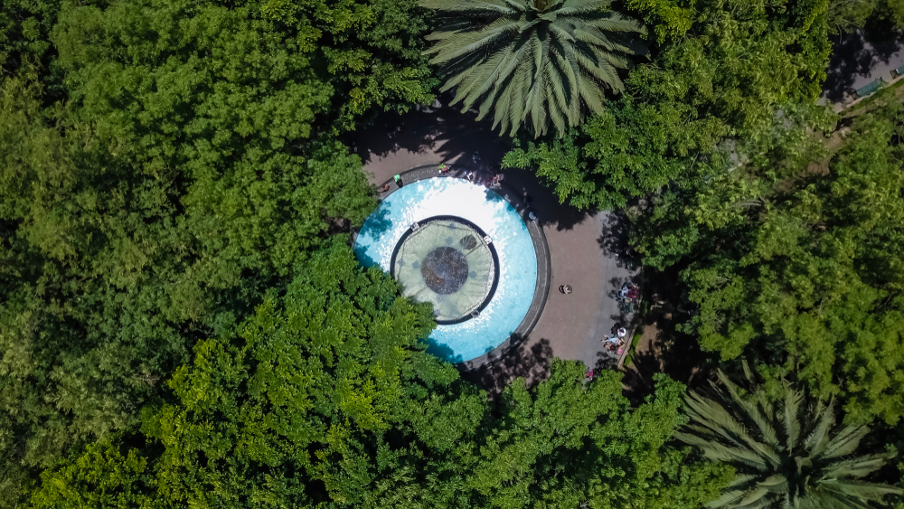 Luftaufnahme der Kirche und des Parks in Coyoacán in Mexiko-Stadt
