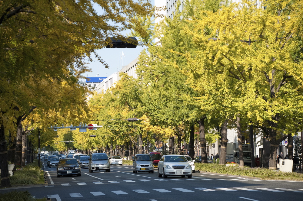 Midosuji-Boulevard in Osaka im Herbst