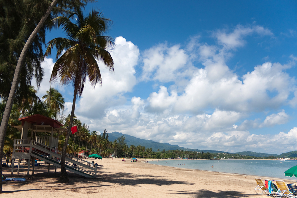 Palmen am Strand von Luquillo auf Puerto Rico