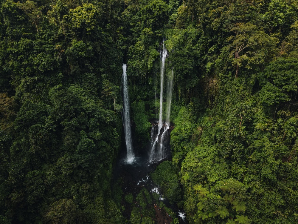 Sekumpul-Wasserfälle im Dschungel von Nordbali