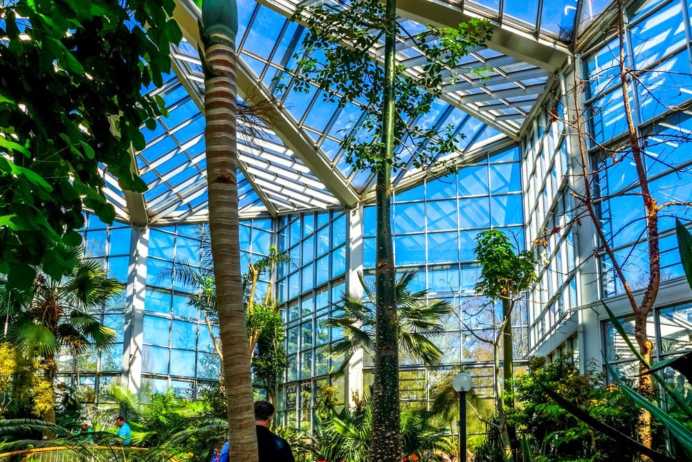 Der botanische Garten Palmengarten in Frankfurt