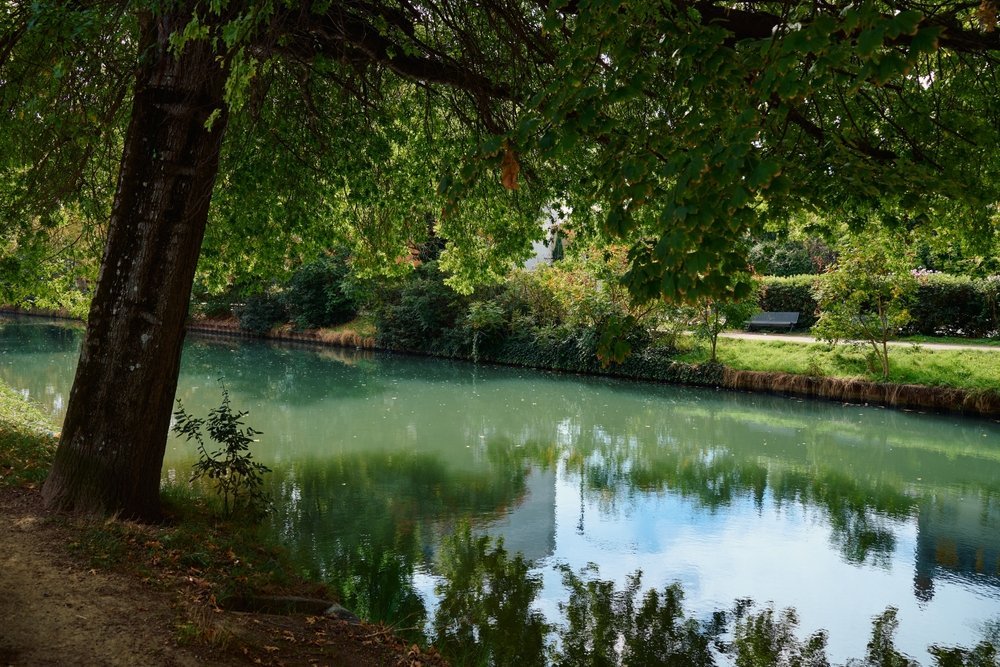 Canal du Midi mit Platanen, die sich im Wasser spiegeln, in Toulouse