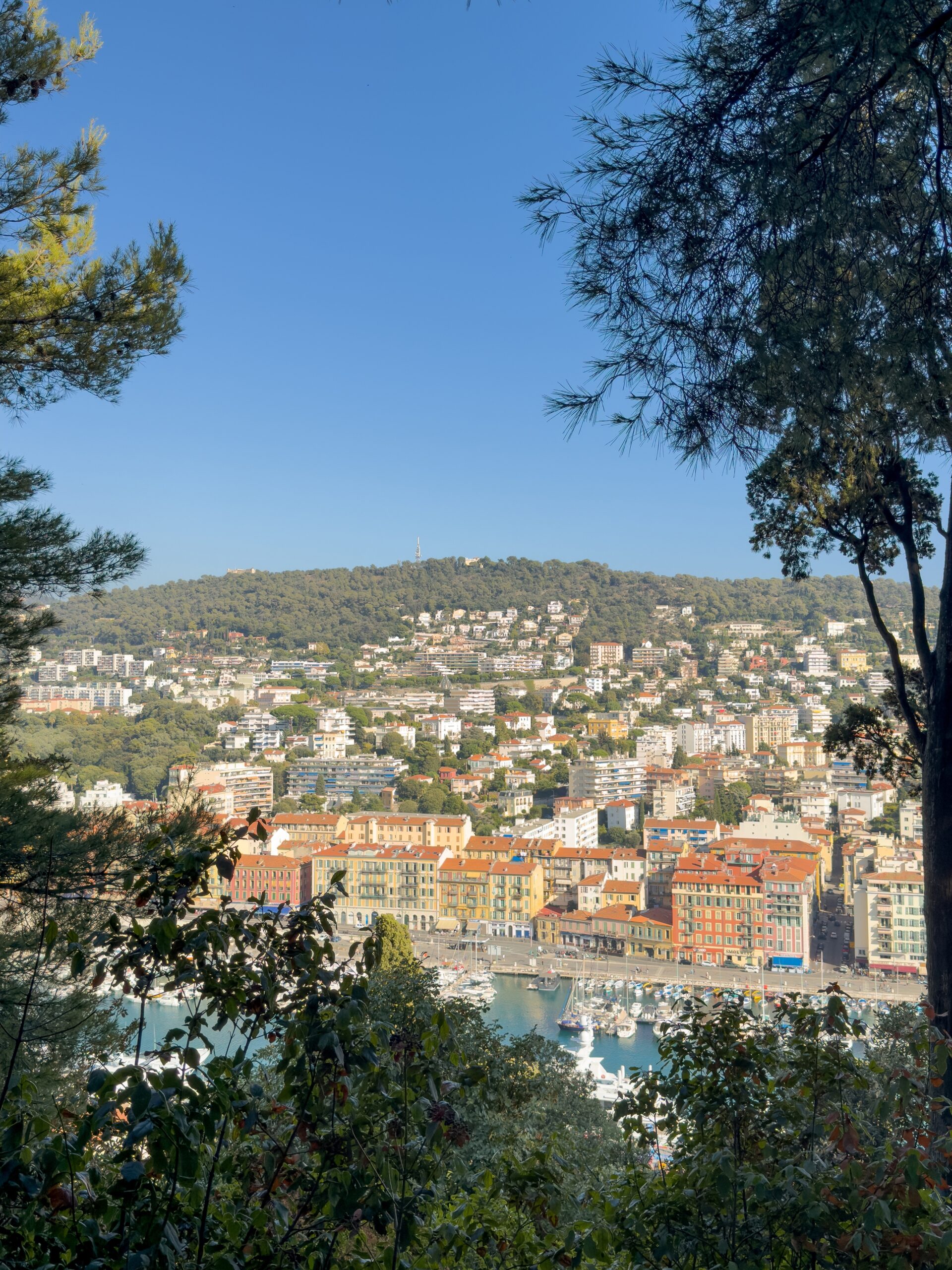 Blick über die Altstadt vom Colline du Château in Nizza