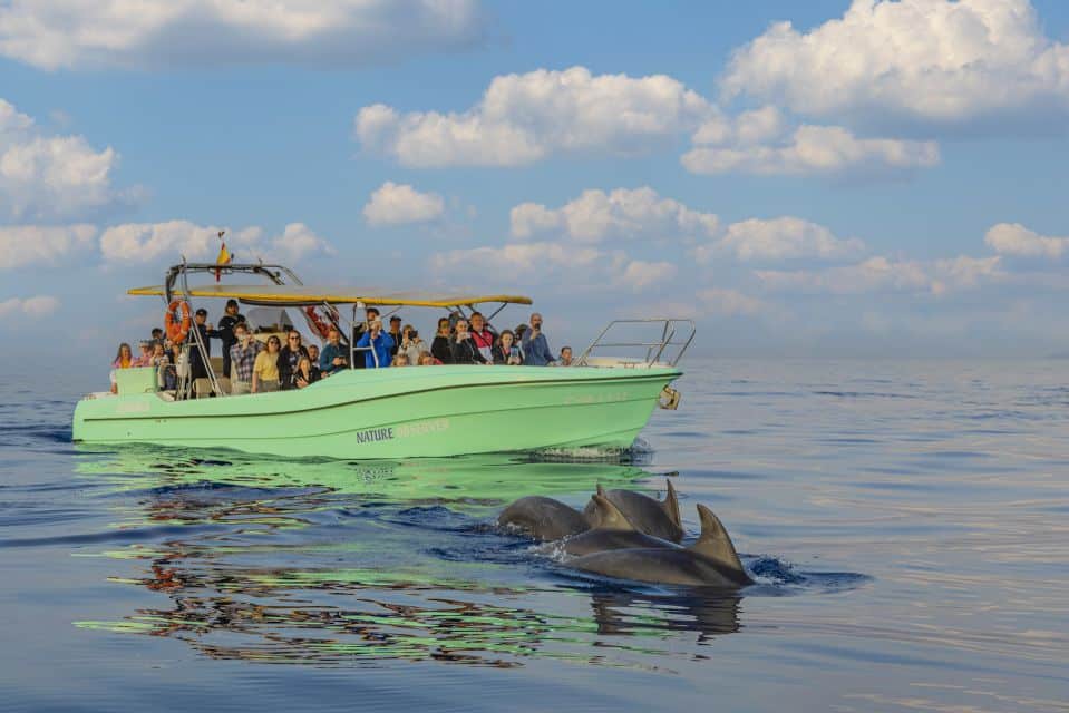 Delfin-Bootstour auf Mallorca