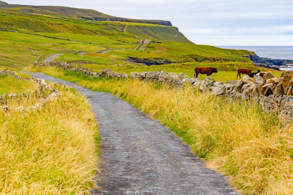 Das Dorf Doolin mit Häusern und Feldern im County Clare
