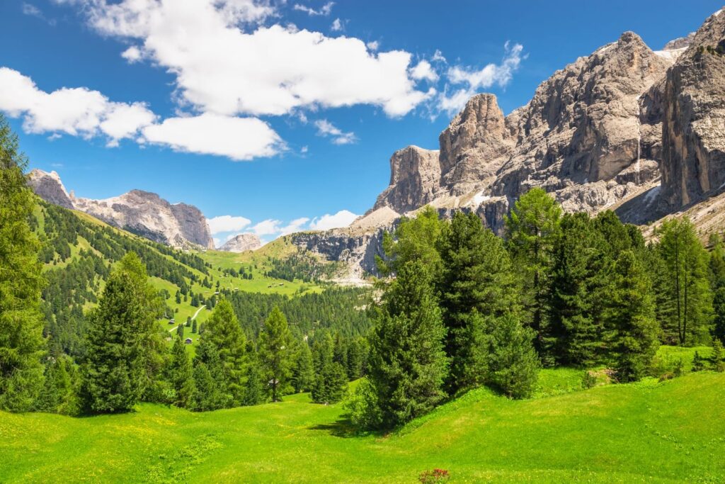 Grüne Almwiesen und zackige Kalksteingipfel in den Dolomiten