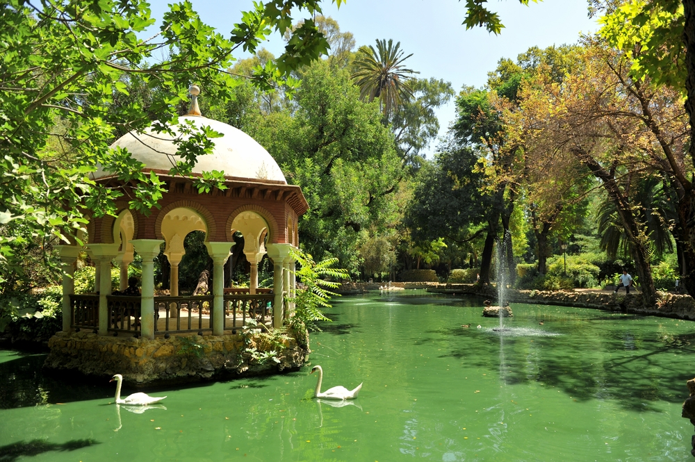 Schwäne im Ententeich am Pavillon im Parque de María Luisa in Sevilla