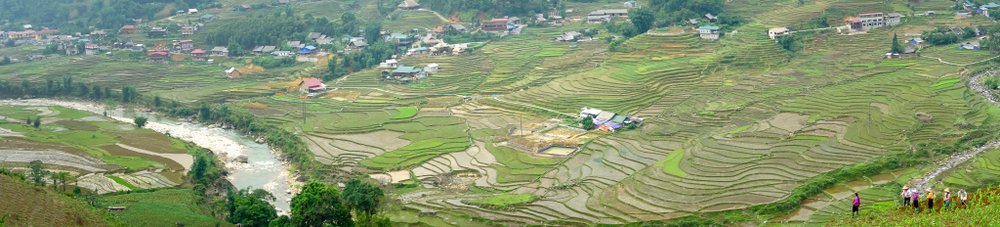 Reisterrassen im Muong-Hoa-Tal bei Sapa im Norden Vietnams