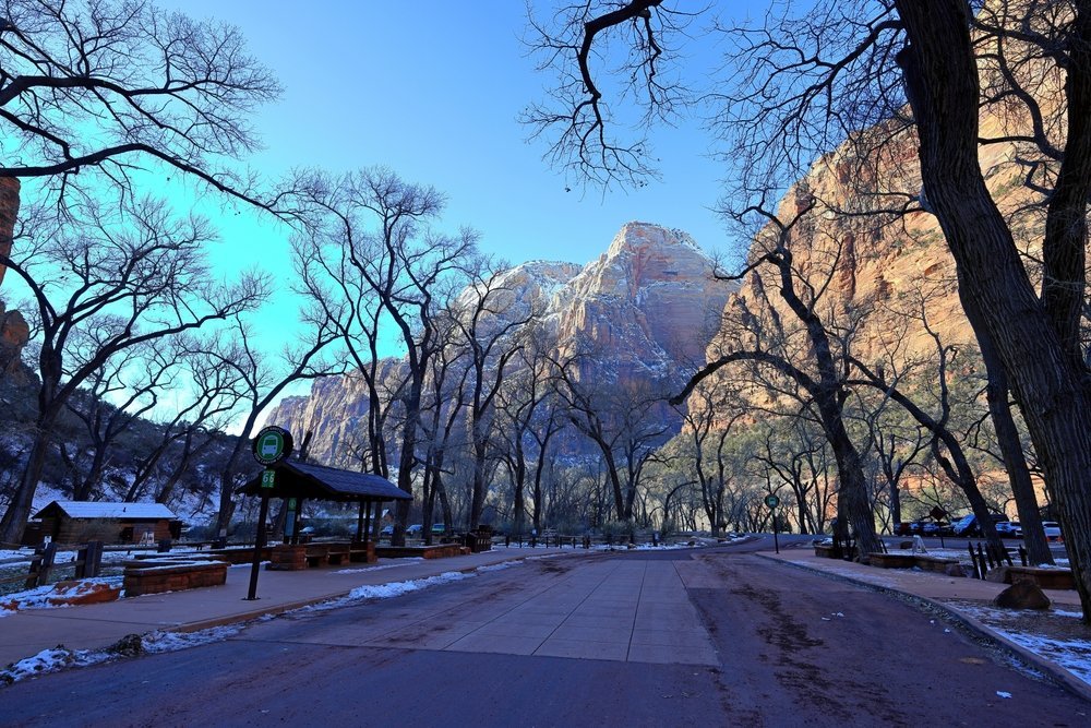 Rote Felswände im Zion National Park bei Springdale in Utah