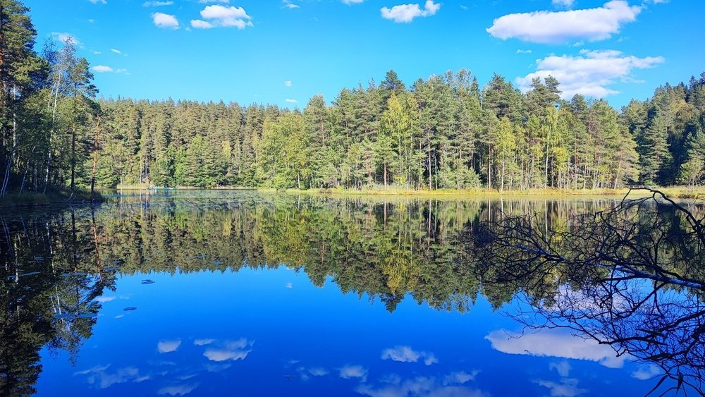See und Wald im Nuuksio-Nationalpark bei Helsinki