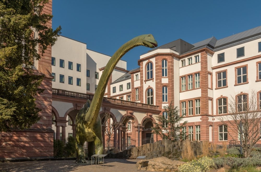 Das Senckenberg Naturmuseum an der Senckenberganlage in Frankfurt