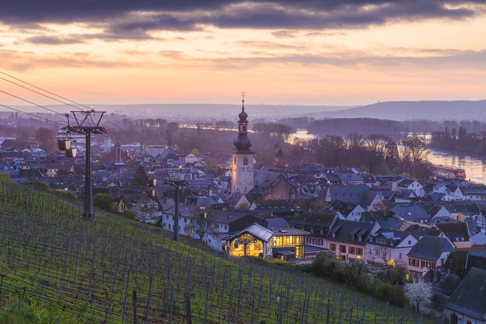 Der Weinort Rüdesheim am Rhein mit den Weinbergen über dem Rhein