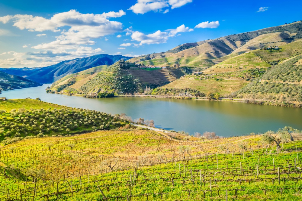Weinterrassen am Fluss im Douro-Tal in Portugal