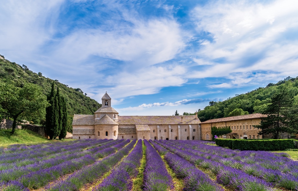 Blühende Lavendelfelder an der historischen Abtei Sénanque in der Provence