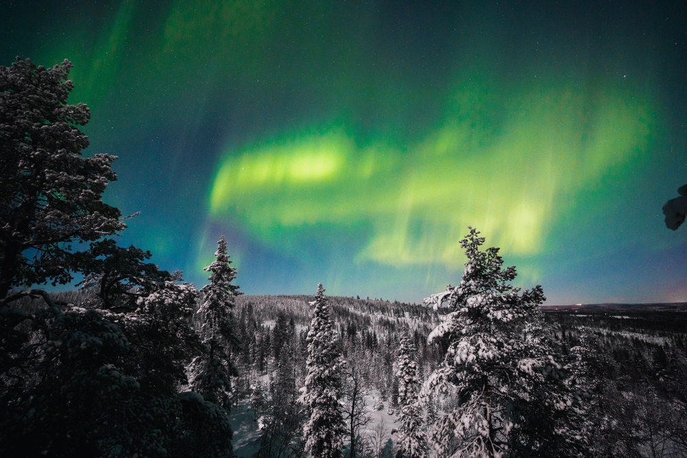 Grünes Nordlicht über Rovaniemi in Finnisch-Lappland