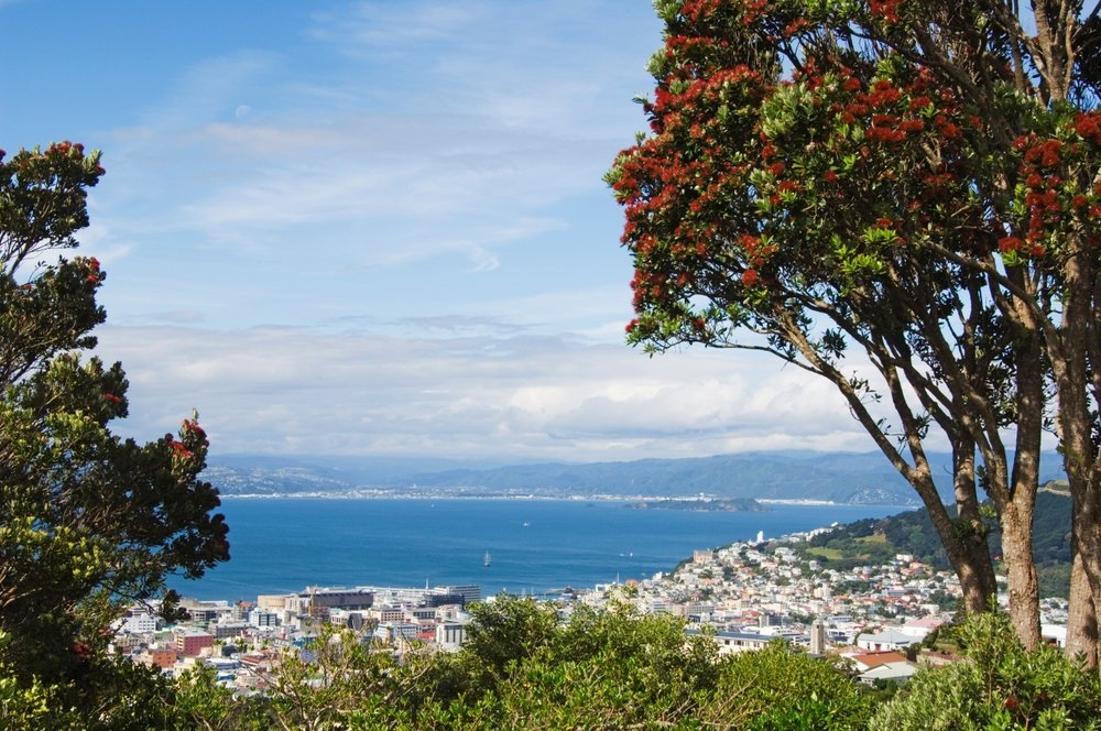 Das Zentrum von Wellington und der Hafen, gesehen über die Oriental Bay